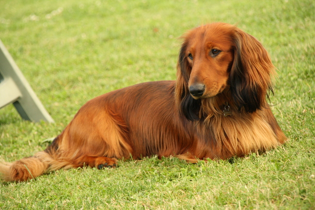 Op vakantie in Frankrijk