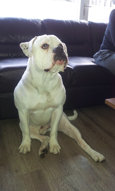 zo zit ik lekker!!!!!!