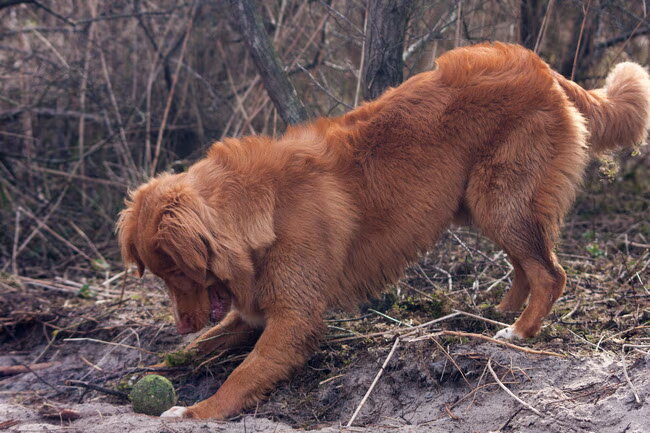 Foto van Luan en Lenne