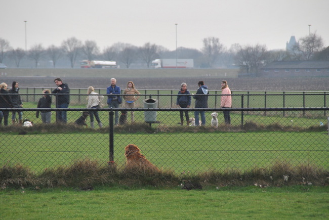 Ruby op school (A cursus) helaas nog maar 1 foto die gelukt is.