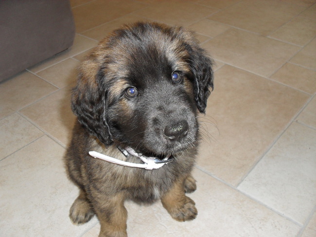 Hoi...ik ben Kyra en ben net 10 minuten in mijn nieuwe huis