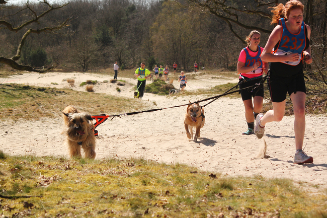 NK canicross, Shadow liet mij al het werk doen whaha