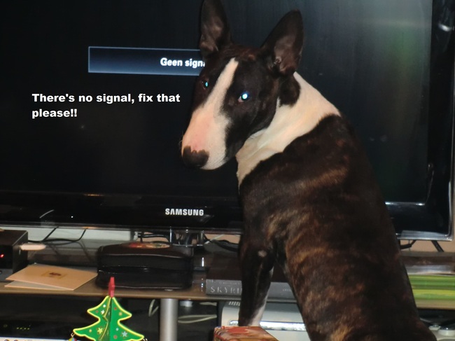 Tv verslaafd?? Neuh hoor...:)