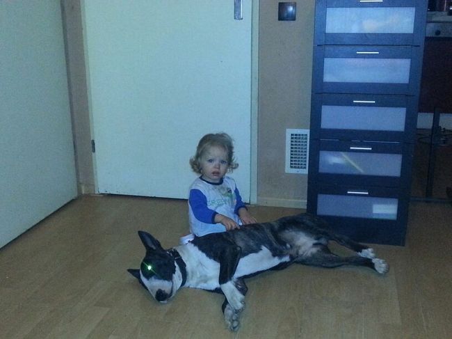 Chucky en ons meisje, ondanks wat problemen kan Chuck ook héél lief, maf en rustig zijn <3