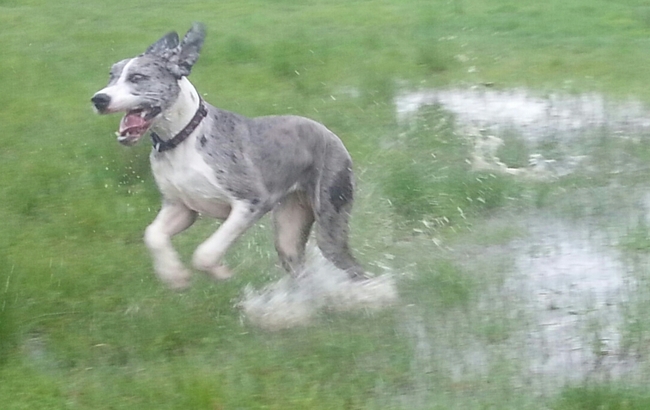 Wat is dat water toch heerlijk :D