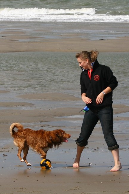 Samen spelen op  het strand in Zeeland
www.infoleo.nl