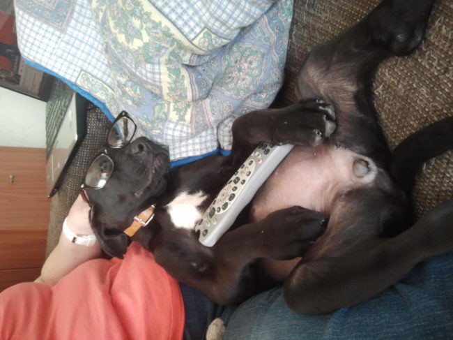 Bij de oma op schoot is altijd plezant !! =D