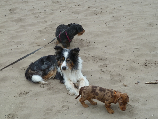 Alle goeie dingen komen in drieën <3