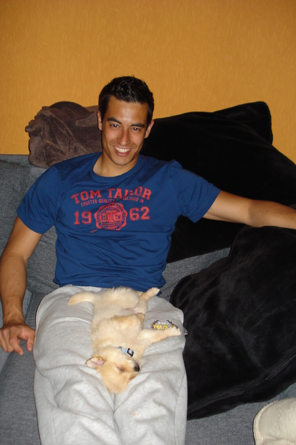 Vosje doet een dutje op de schoot van z'n baasje <3