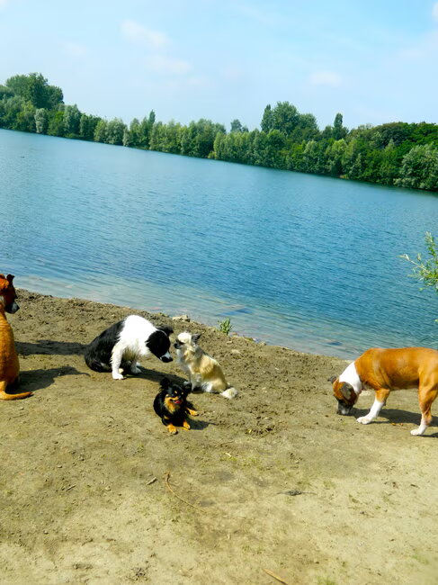 Hombeek 15/7
