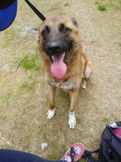 Lieve Harry! 