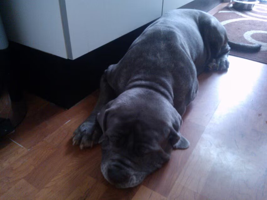 Joeks, toch wel een beetje 'mijn' lieve meisje.