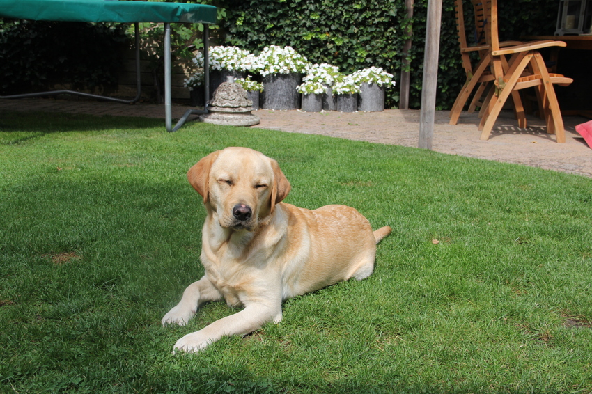 Even van MIJN KONINKLIJKE ZON genieten! ;')