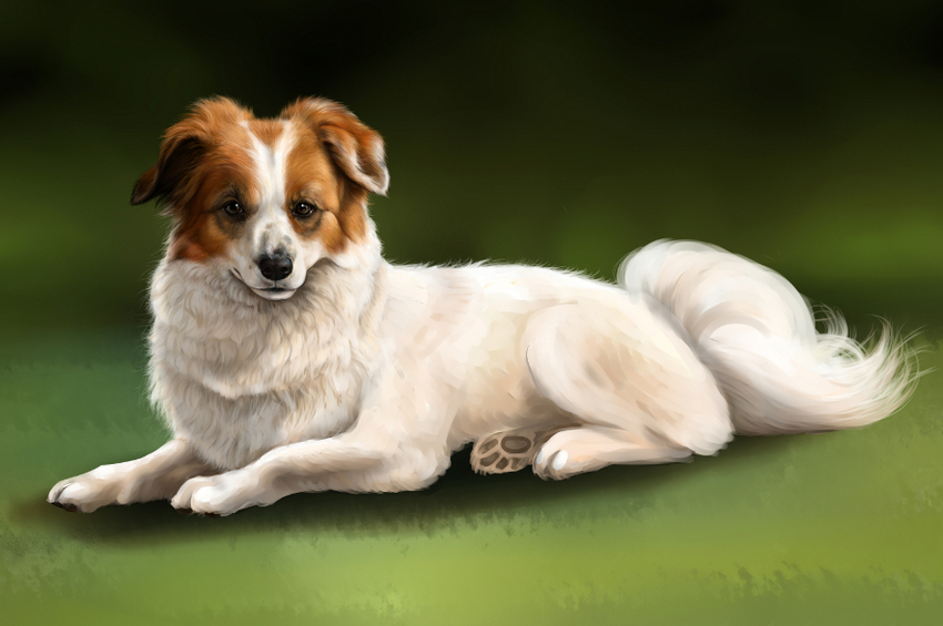 Een werkje in ontwikkeling. Olly van Judith. :)
Moet nog wel het een en ander aan gebeuren. 
Het is digitaal getekend. :D 