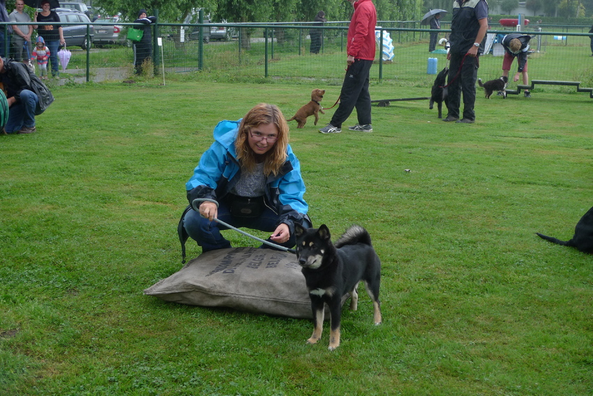 Honda haar eerste lesje in de puppyklas bij hondenschool 't Sas in Duffel