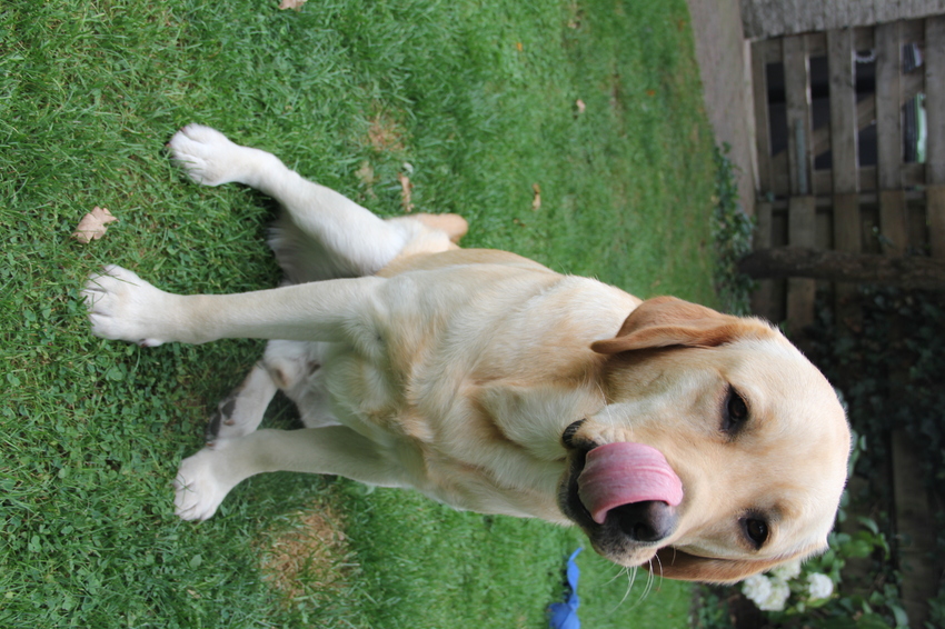 Ik kan mijn eigen neus likken!