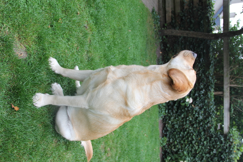 Even om mij heen kijken...