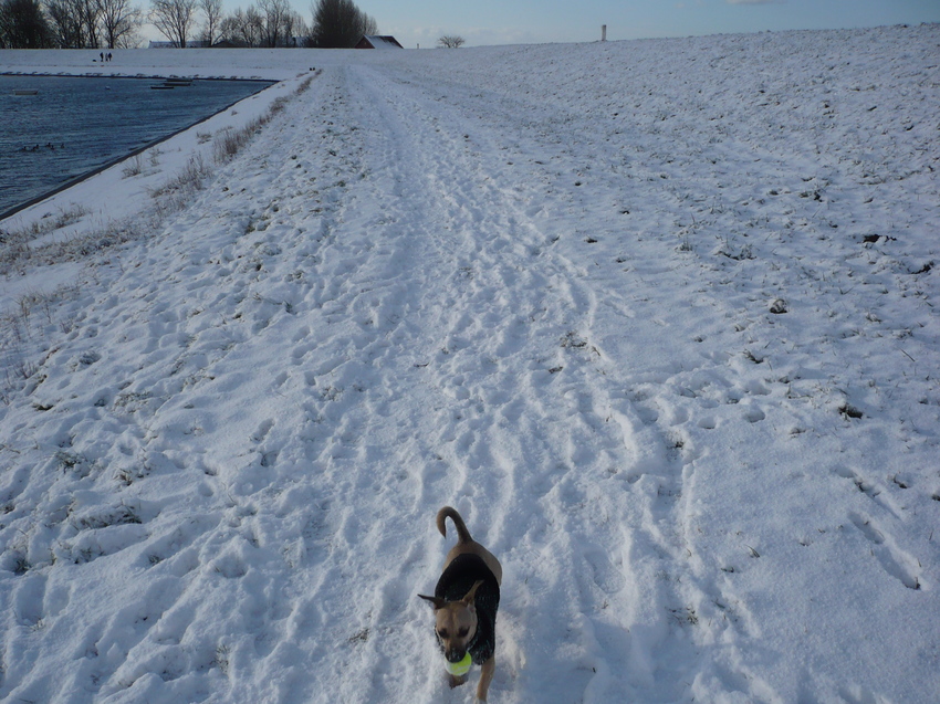 In de sneeuw met haar balletje