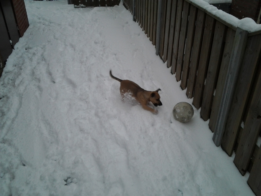 Lekker spelen met de bal