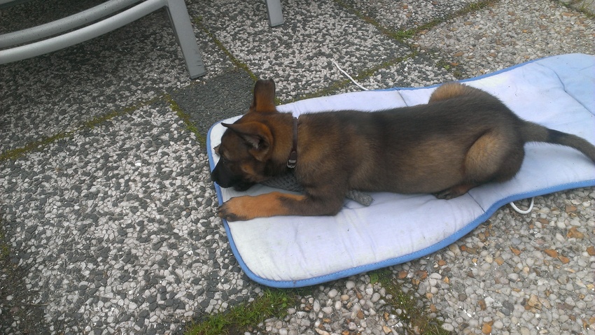 Senna Speelt met Olie, haar knuffeltje
