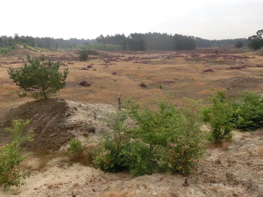 Wandeling met vriendjes ( Een bijzonder mooi plekje )