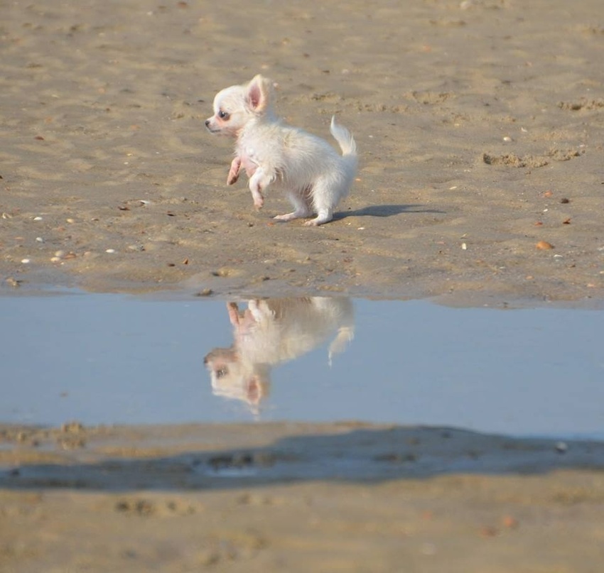 Genieten op het strand