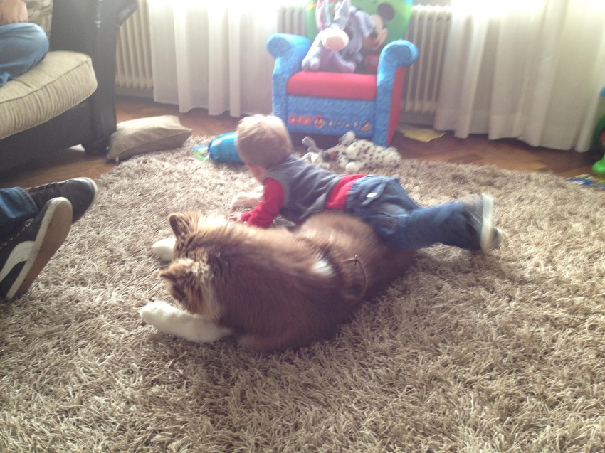 Hoezo om boef heen?? Ik klim er wel over heen