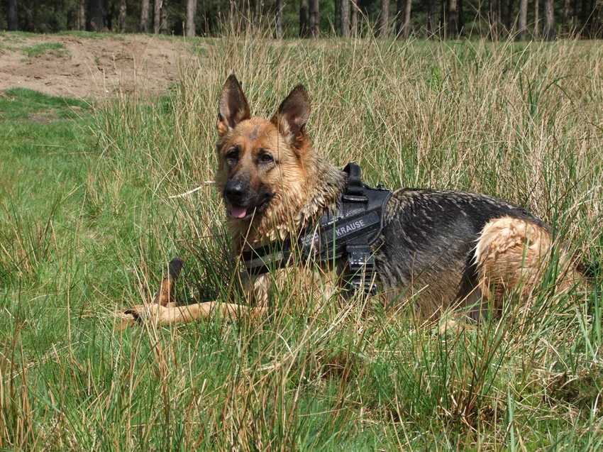 Even uitrusten na een lange wandeling