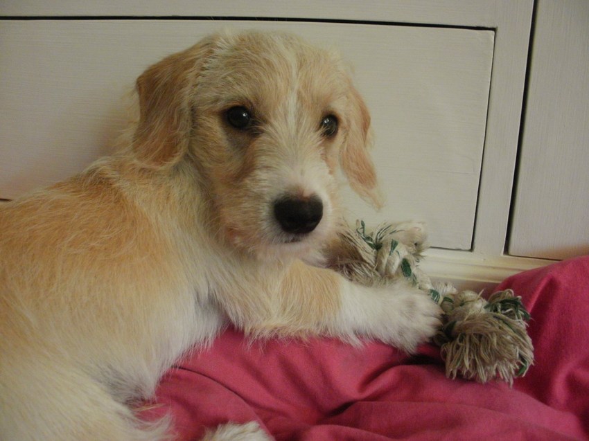 Vandaag aangekomen in mijn nieuwe huisje.