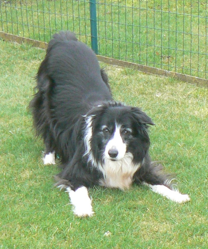 dit was men oudje helaas overleden op 8 maart jl