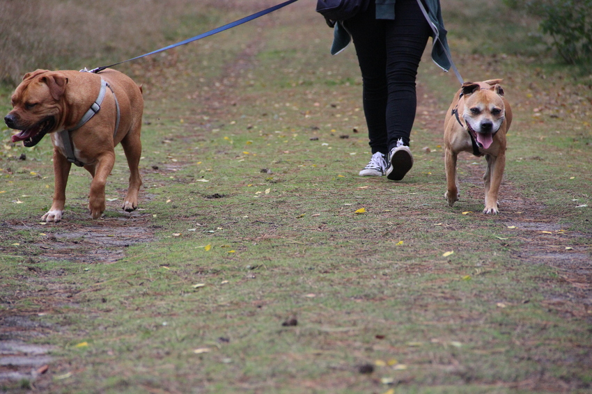 Rocky & Nyssa