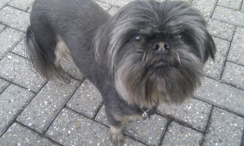 Ik moest even kijken, dus ja deed ik dan maar even ahum ... 