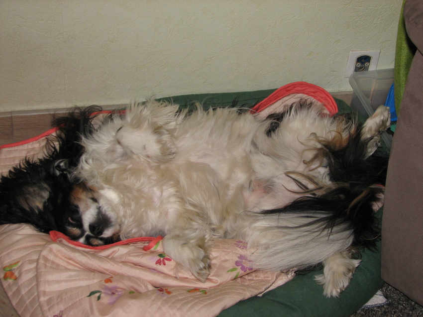 Zijn favoriete houding :-)