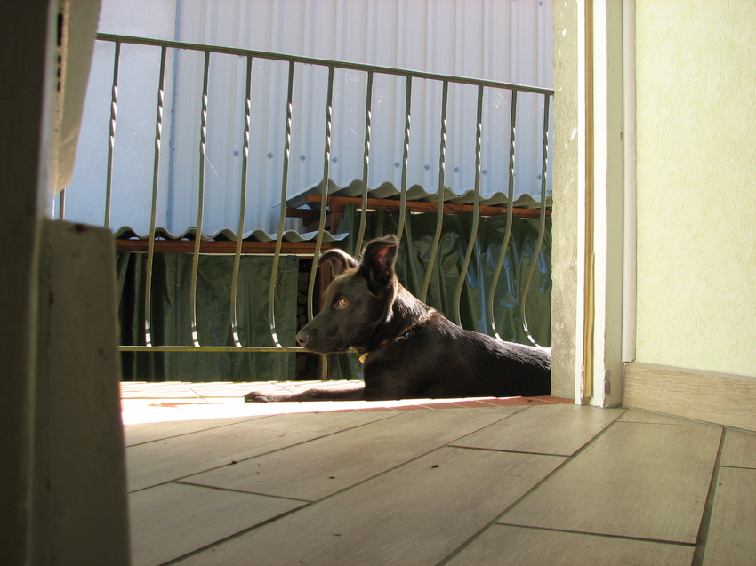 Hier lig ik weer he :-) 28-10-2013