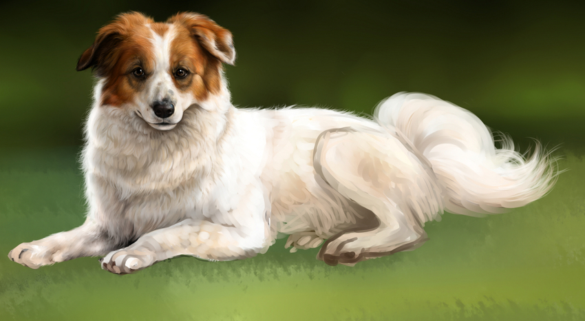 Digitaal tekeningetje van Olly, nog steeds in ontwikkeling. Maar het schiet al op. :)