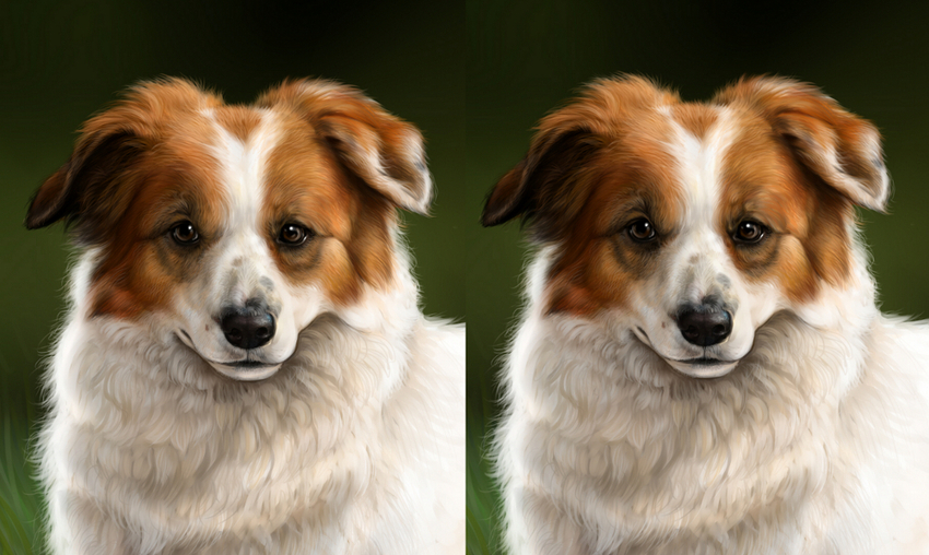 Twee versies van Olly's gezicht. 