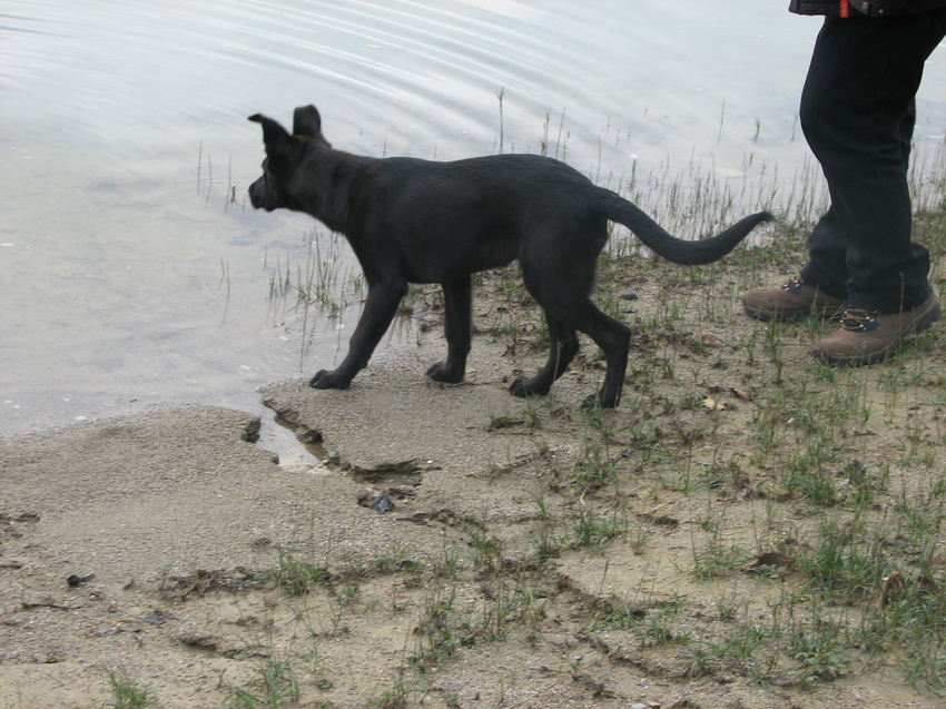 Doe ik het of doe ik het niet :-)