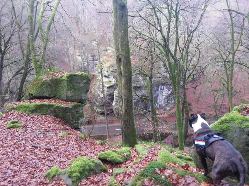 Op ontdekkingsreis in Echternach (LUX) schitterend daarzo