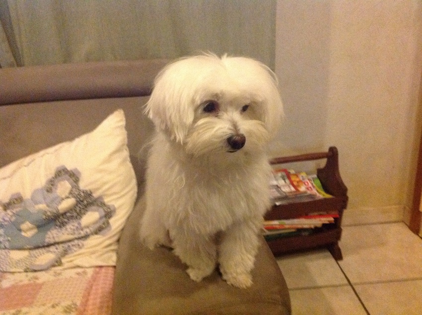 Loes is vandaag pas geknipt. Tijd voor een foto dus!