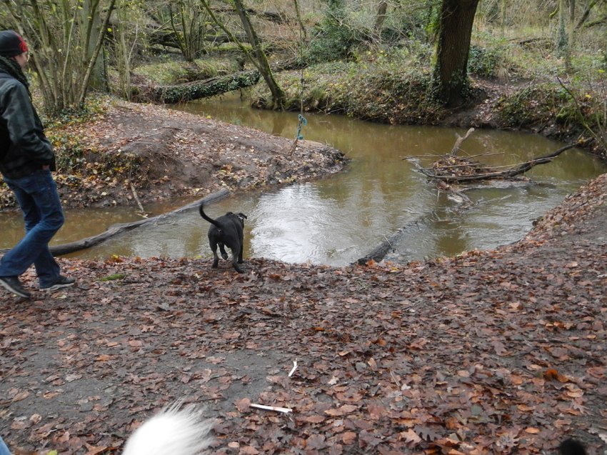 HP wandeling 8 december 