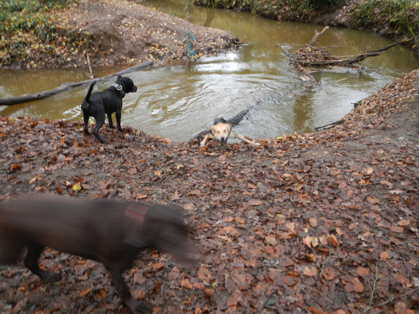 HP wandeling 8 december 