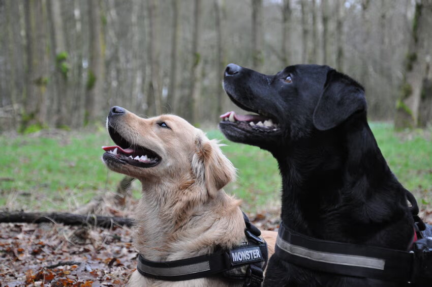 Foto van Melany en Teddy