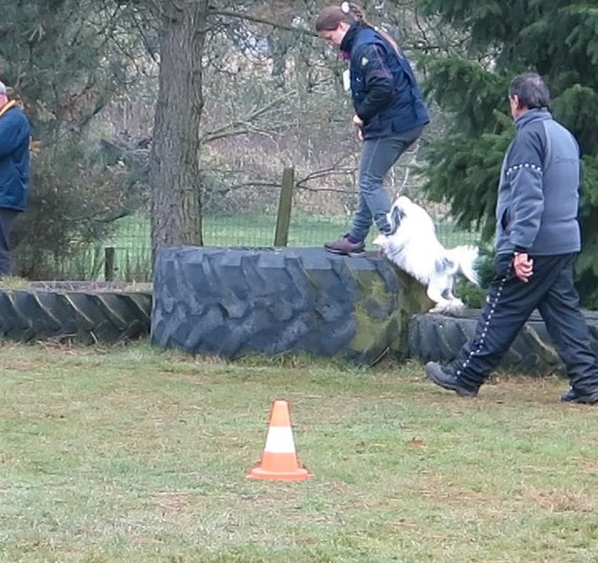 Wedstrijd Belgische GH (los volgen)