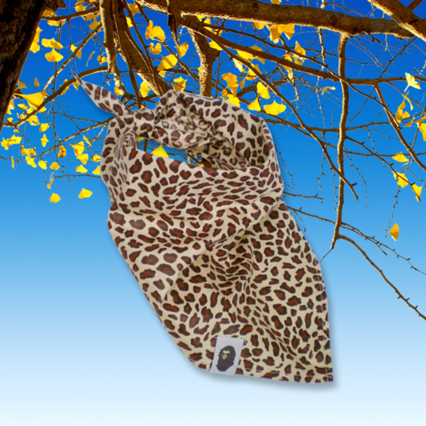 Deze hondensjaal met Panter motief is een bijzondere in onze collectie. Deze honden bandana is van goede kwaliteit en tijdloos design; sjiek en hip tegelijk!