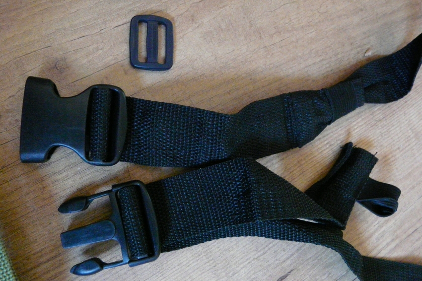 zwart band en gespen