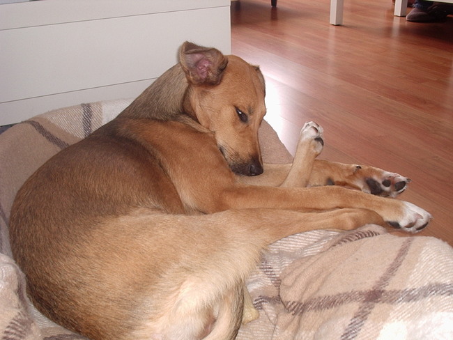Mila met haar Betty Spagetti benen.