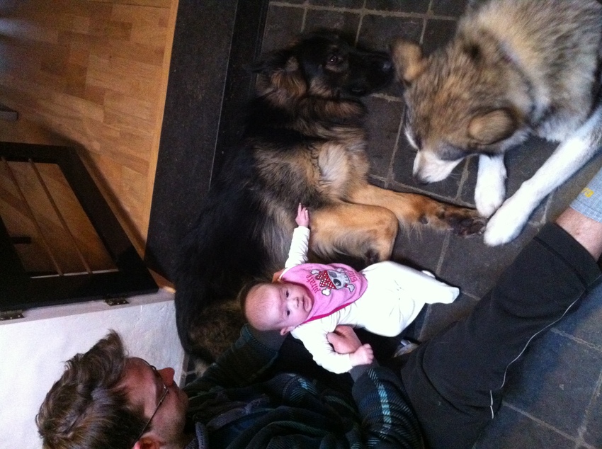 Eerste affectie van Lizzie (12weken) aan Storm