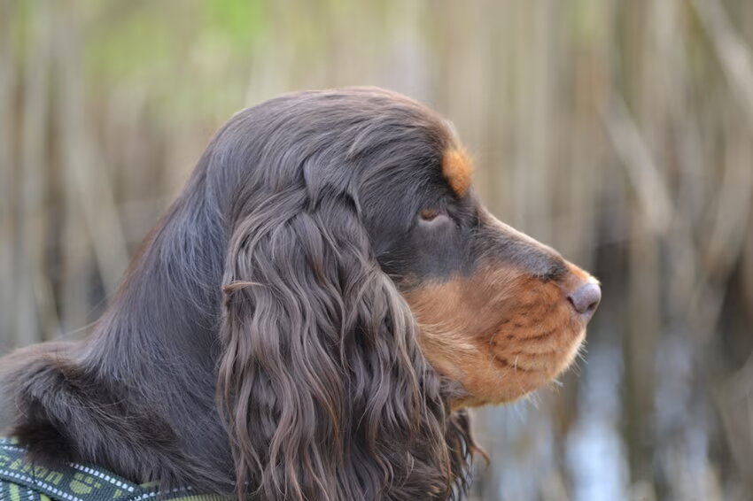 Foto van Valérie, Milo en Noa