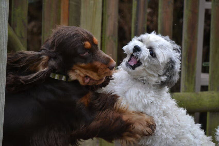 Foto van Valérie, Milo en Noa