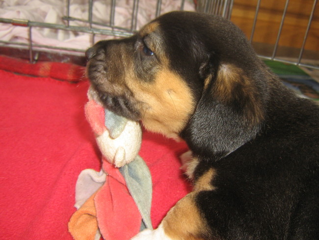 aldo zoon van nero aan het spelen toen hij 5 wekjes was